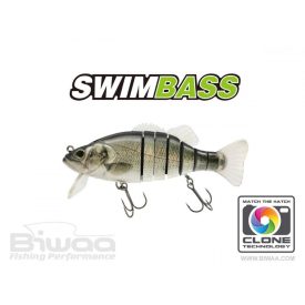 Shad Clone (Deutsch) - Swimbaits