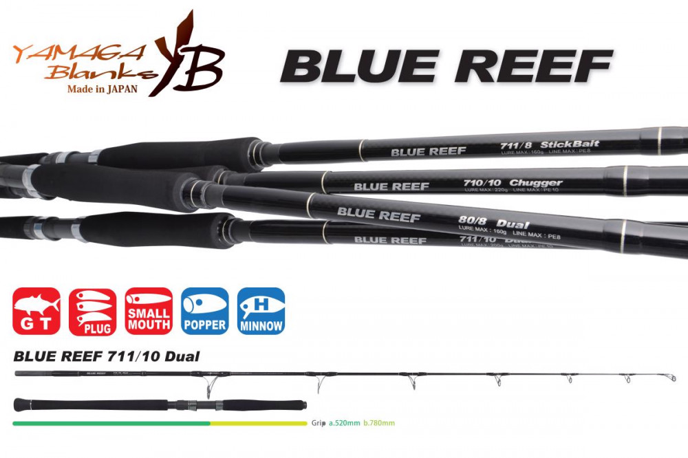 Yamaga Blanks EARLY+ 98H 2.935m 18-60gr (YB14088) Fishing Rod