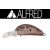 Alfred Croto Mini DR